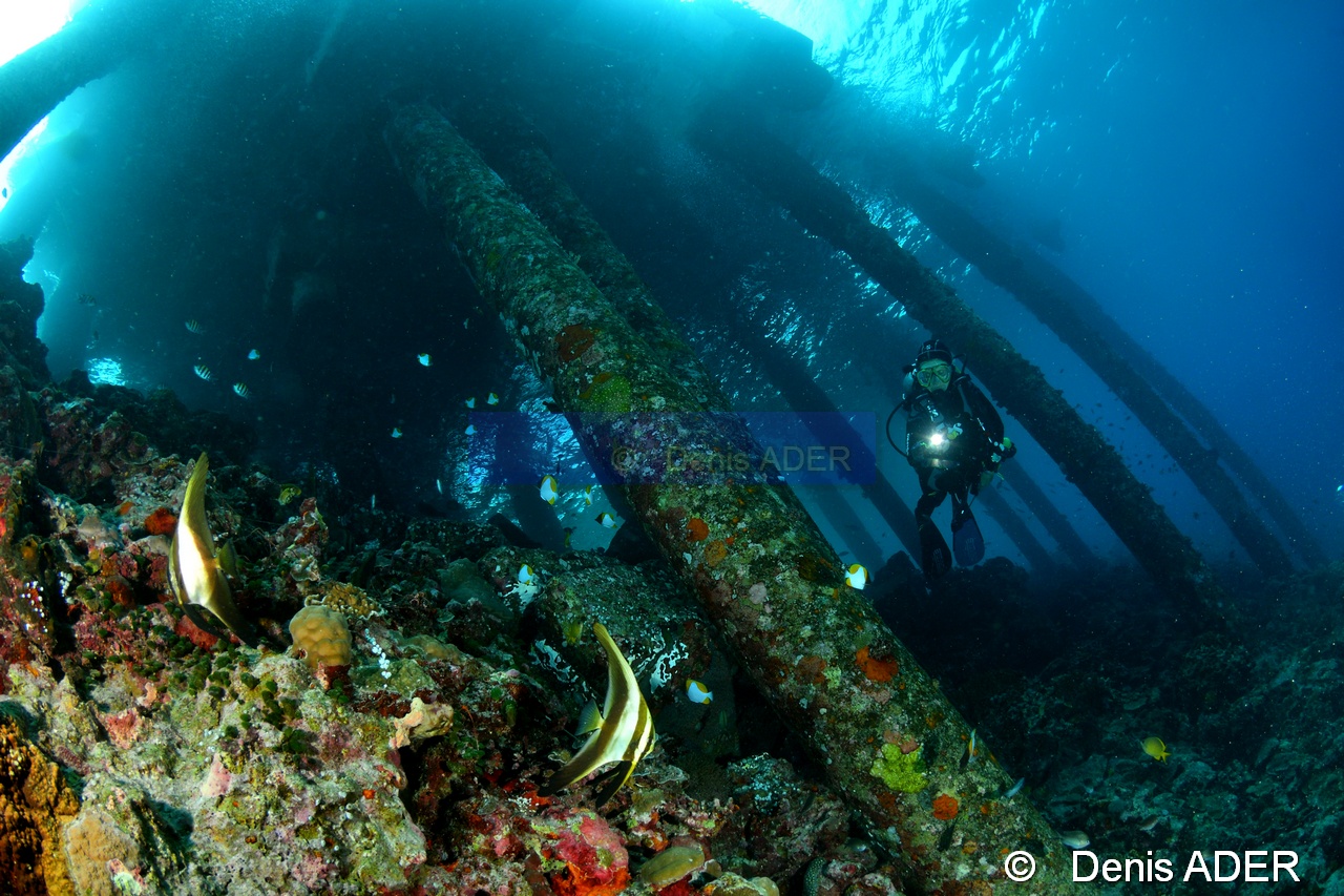 Ambiance Pier Catherine-Wakatobi Wangi Island-34m-20180601-Denis-ADER-DSC_2926_tn.jpg